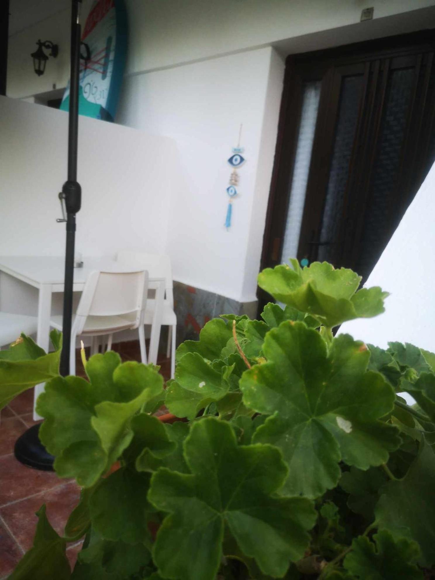 Achillion B&B ปาราเลีย สโกทินิส ภายนอก รูปภาพ